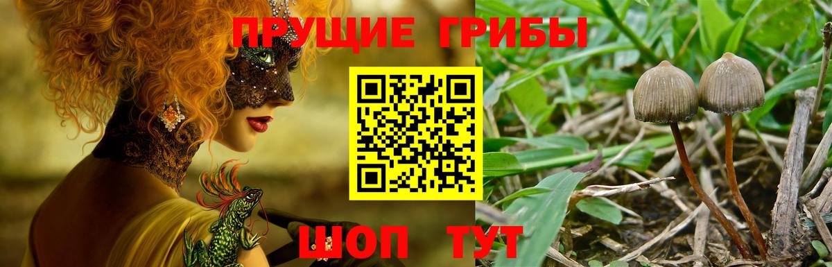 ГАШИШ  Баксан  Вход с VPN  Мефедрон   LSD-25  Марихуана  ГАШИШ  COCAIN 