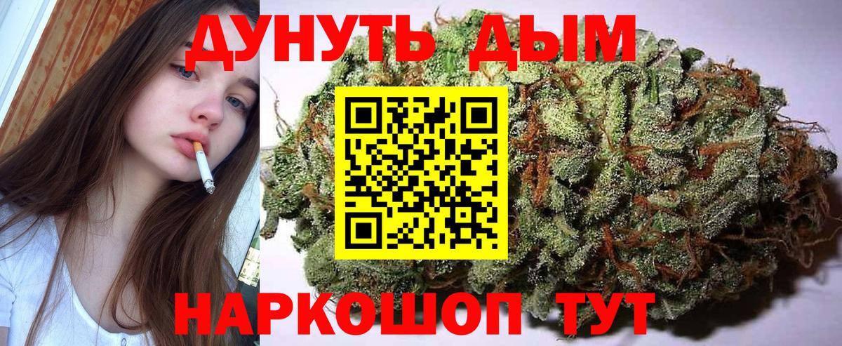 Баксан  Бошки Шишки OG Kush  Марихуана план  Вход с VPN 